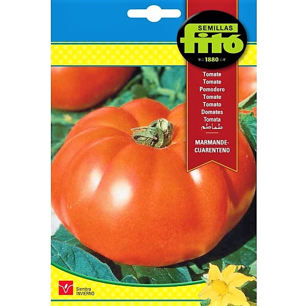 Tomato Marmande Cuarenteno Seeds – image 1