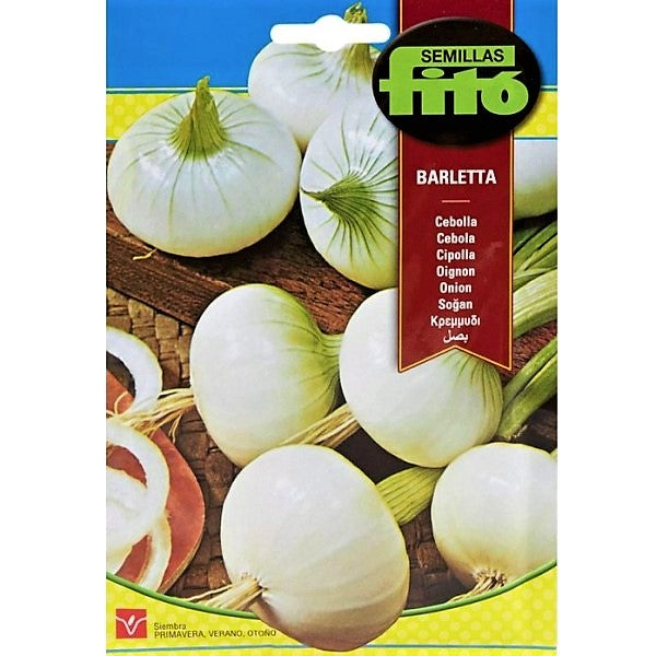 White Onion Barletta Seeds – image 1