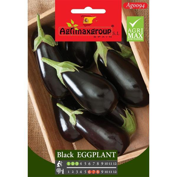 Black Eggplant Seeds – image 1