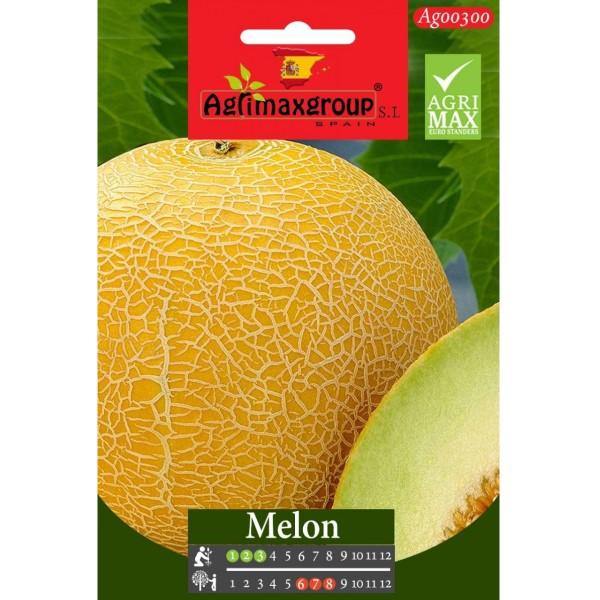 Melon Seeds – image 1