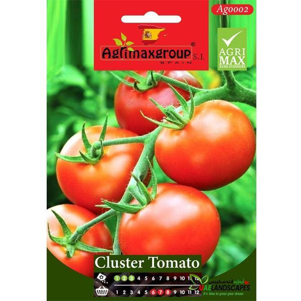 Cluster Tomato Seeds – image 1