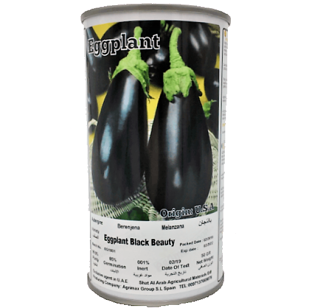 Eggplant Black Beauty Seeds Tin – image 2