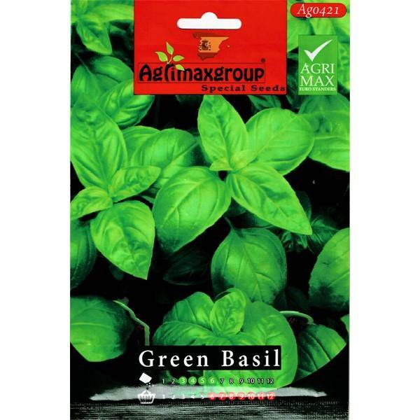 Green Basil Seeds – image 1