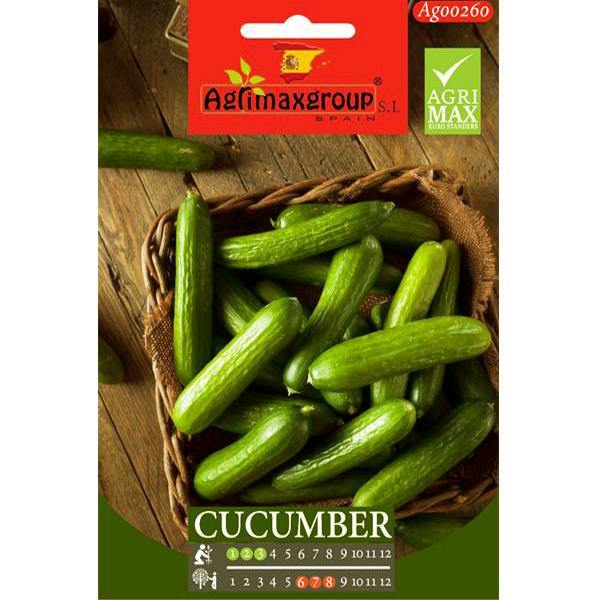 Small Cucumber Seeds – image 1