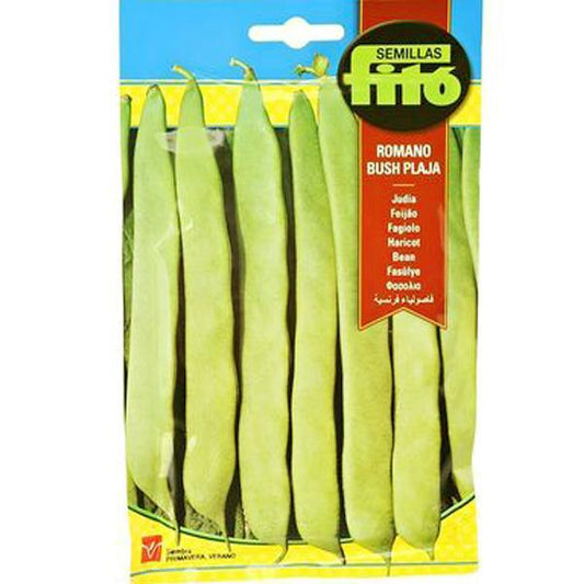 Bean Perolar Seeds – image 2
