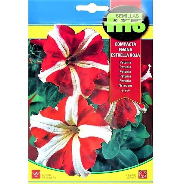Petunia Seeds Dwarf Compact Red Star – image 1