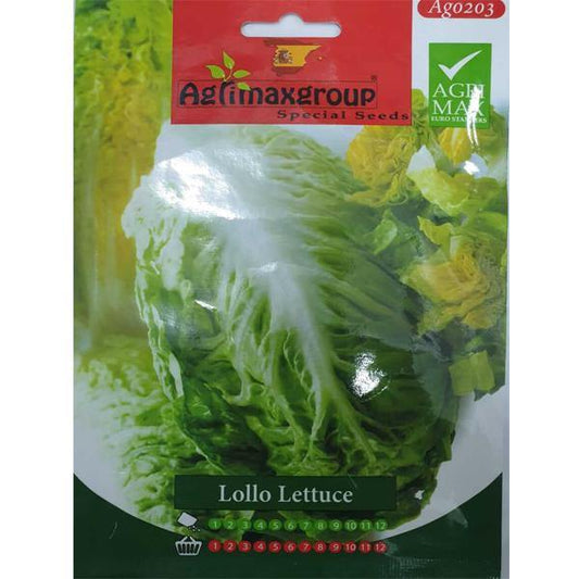 Lollo Lettuce Seeds – image 2