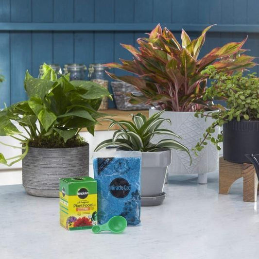 Miracle-Gro Water Soluble All Purpose Plant Food – image 2