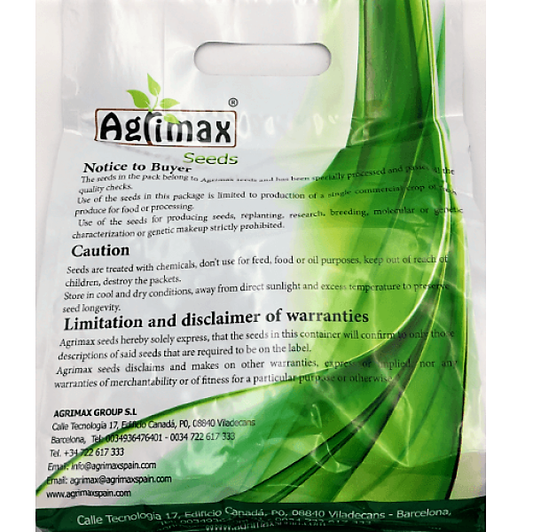 Dill Premium Quality Seeds – image 2
