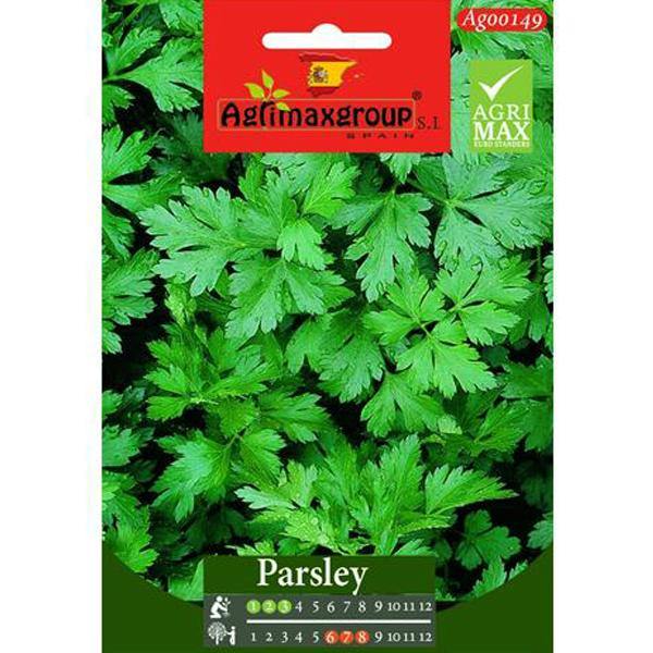Parsley Seeds – image 1