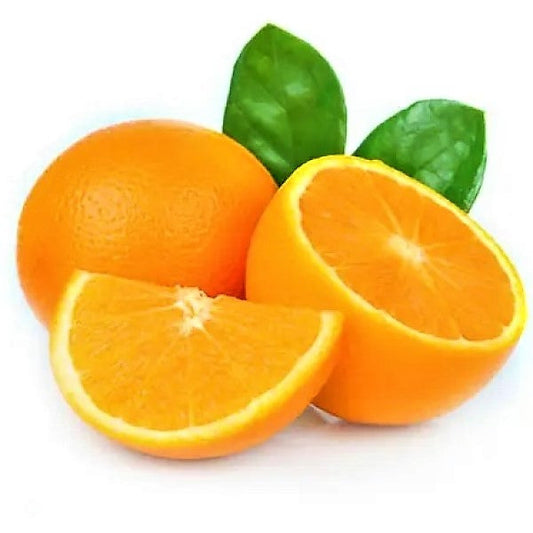 Citrus orange, Abu Surra, Orange Tree – image 2