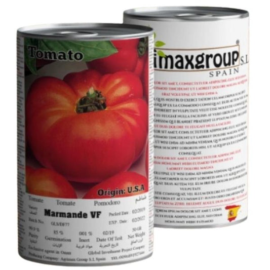 Tomato Marmande VF Seeds Tin – image 2