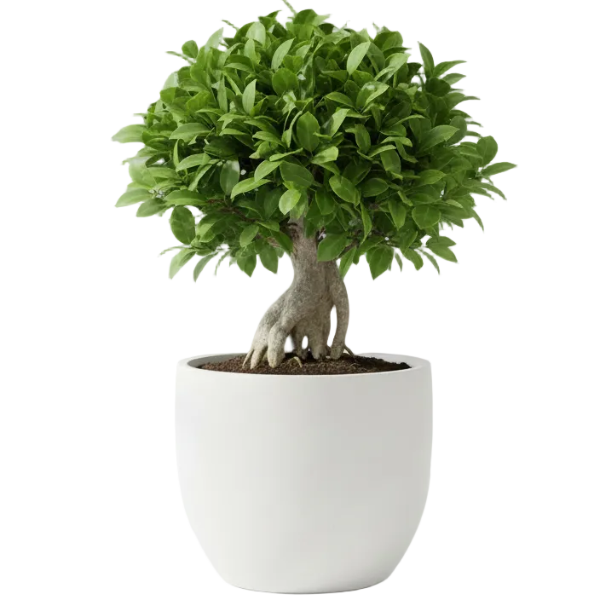 Fiber High Quality GRP Durable Pot – image 9