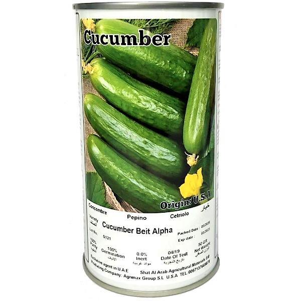 Seeds – Green Plants