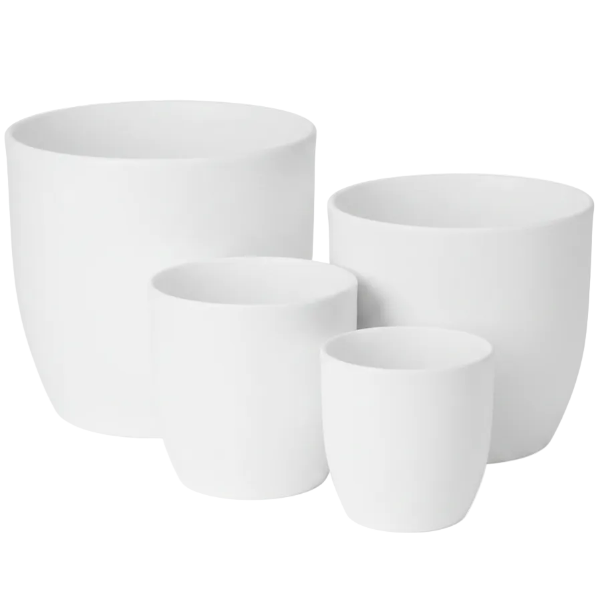 Pots & Planters – Green Plants