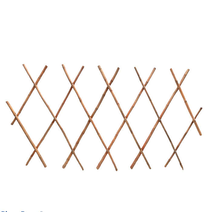 Bamboo Trellis – image 1