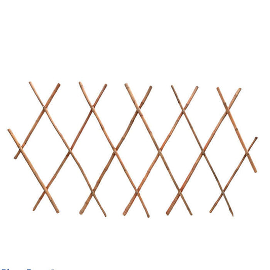 Bamboo Trellis – image 1