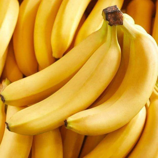 Musa paradisiaca, Banana Tree – image 2
