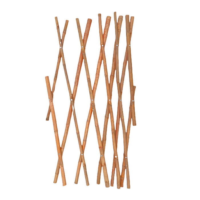 Bamboo Trellis – image 4
