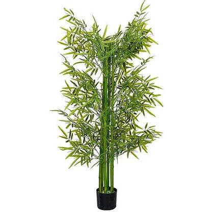 Bambus Green, Tropical Bamboo – image 7