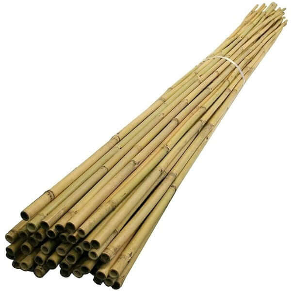 Bamboo Stick 15-30mm Dia – image 6