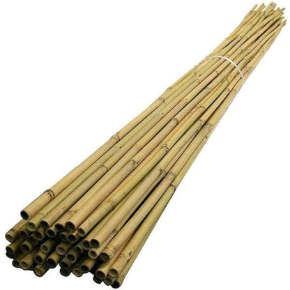 Bamboo Stick 15-30mm Dia – image 6