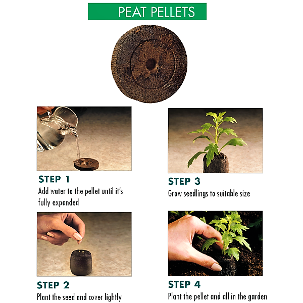 Peat Pellets or Peat Seeds Starters – image 4