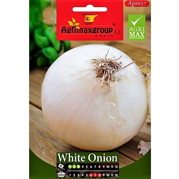 White Onion Seeds – image 1