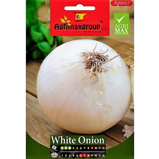 White Onion Seeds – image 1