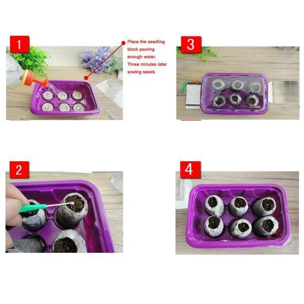 Peat Pellets or Peat Seeds Starters – image 5