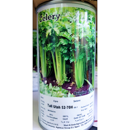 Utah 52, 70 Celery Seeds Tin – image 2