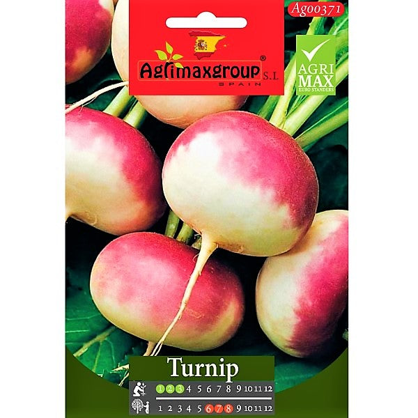 Turnip Seeds – image 1