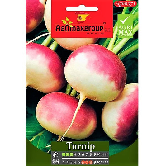 Turnip Seeds – image 1