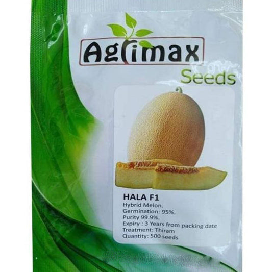 Hala F1 Hybrid Melon Premium Quality Seeds – image 1