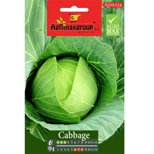 Cabbage Seeds – image 1