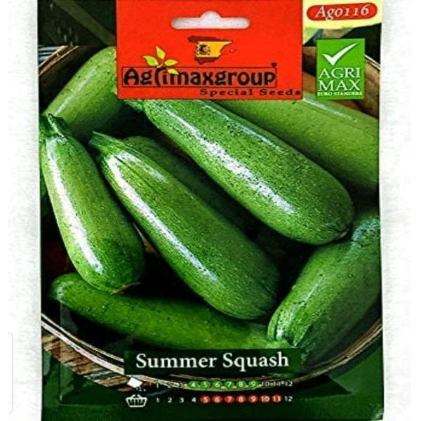 Summer Squash Seeds – image 1