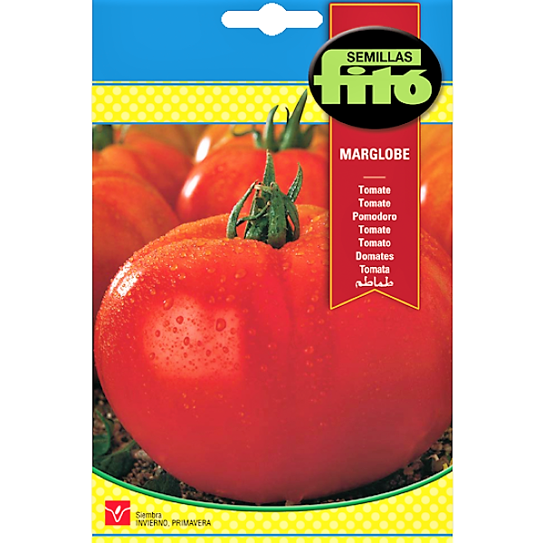 Tomato Marglobe Seeds – image 1