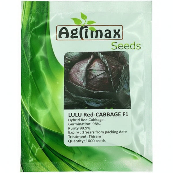 LULU Red Cabbage F1 Premium Quality Seeds – image 1