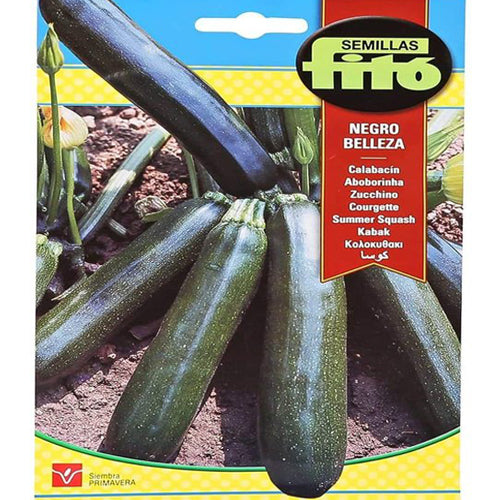 Summer Squash Negro Belleza 10g, Fito – image 1
