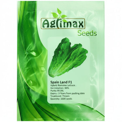 Lettuce Spain Land F1 Premium Quality Seeds – image 1