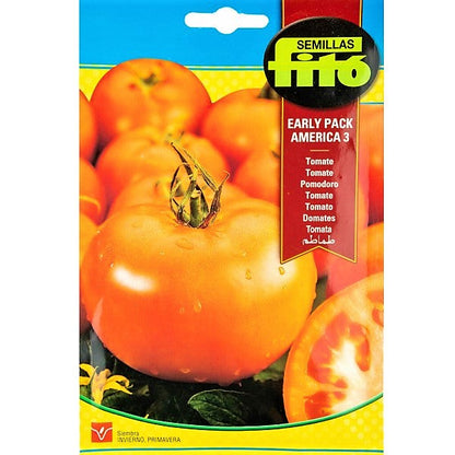 Tomato Early Pack America 3 Seeds – image 2