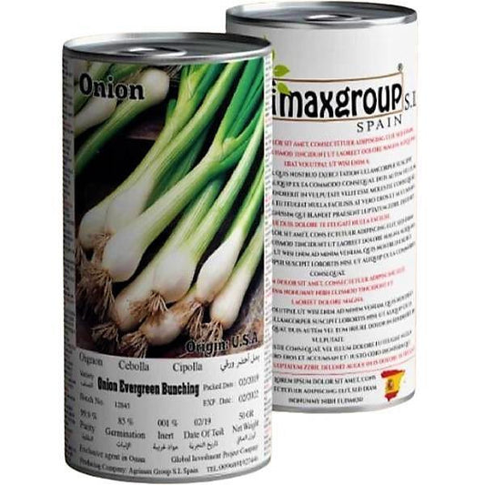 Evergreen Bunching Onions Seeds Tin – image 1