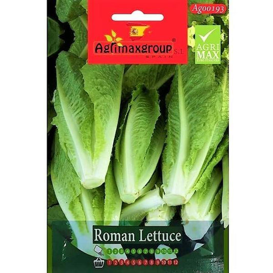 Roman Lettuce Seeds – image 1