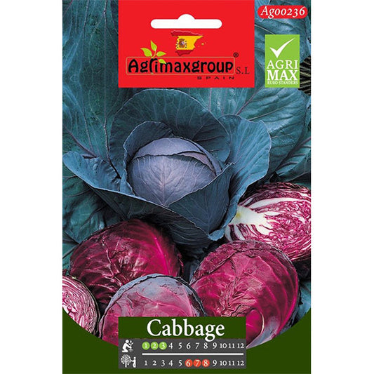 Red Cabbage Seeds – image 1