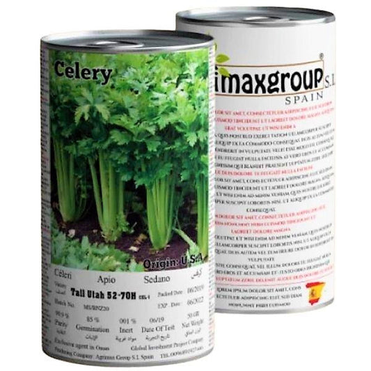 Utah 52, 70 Celery Seeds Tin – image 1