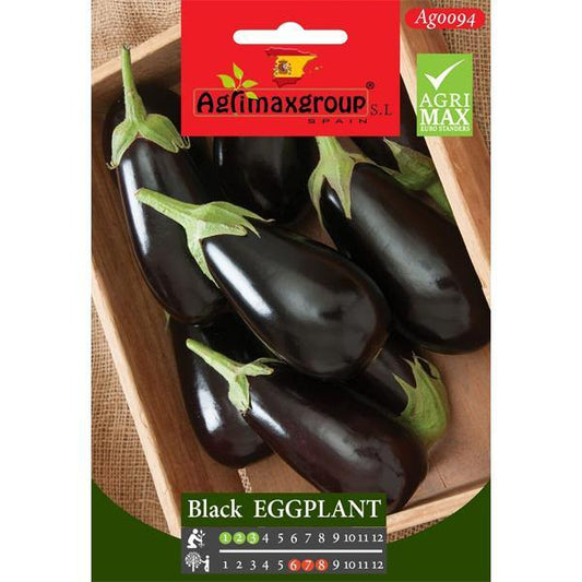 Black Eggplant Seeds – image 1
