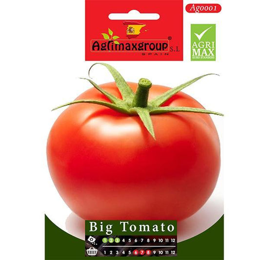 Big Tomato Seeds – image 1