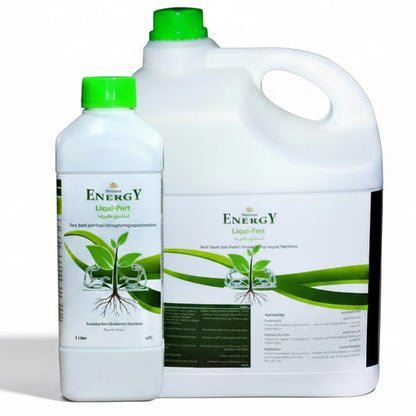 Desert Energy Ironganese Liquid Fertilizer – image 1