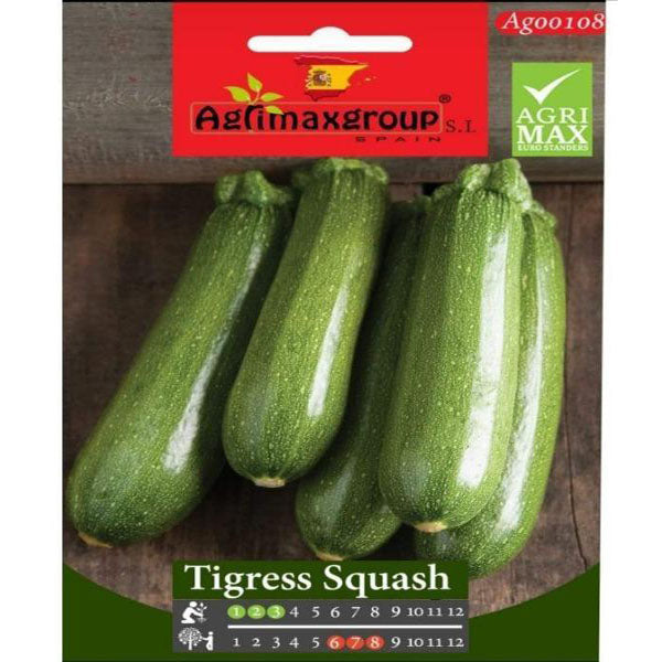 Tigress Squash Seeds – image 1