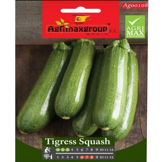 Tigress Squash Seeds – image 1